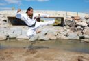 Martial Arts: An Empowering Practice for High Performing Teams