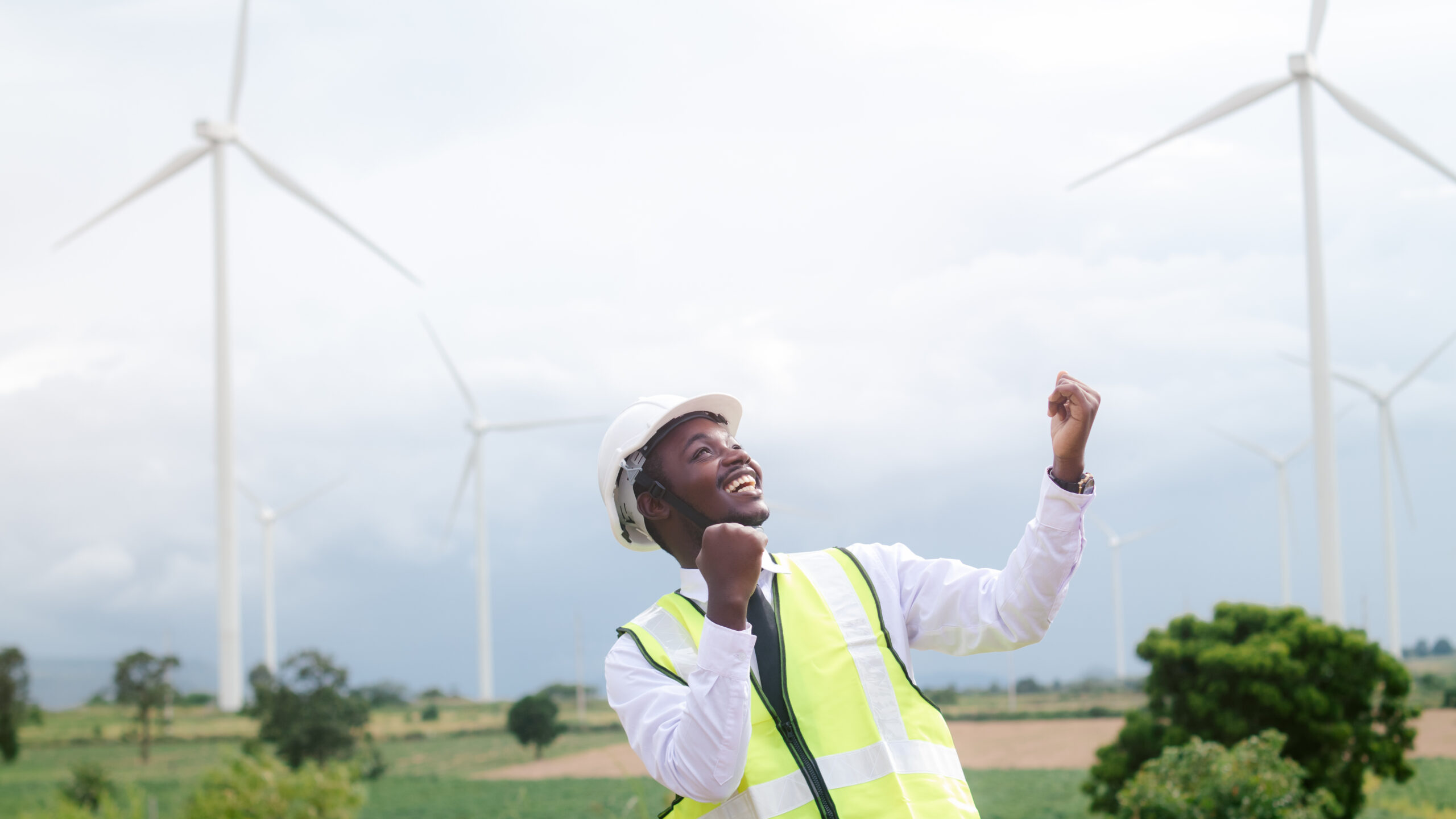Agroecology: Sustainable Innovation for an Inclusive Value Chain
